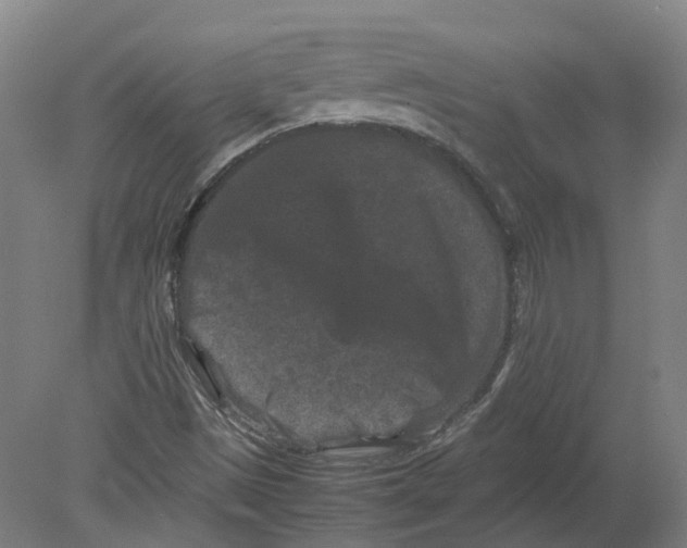 X0000080191497200612302258