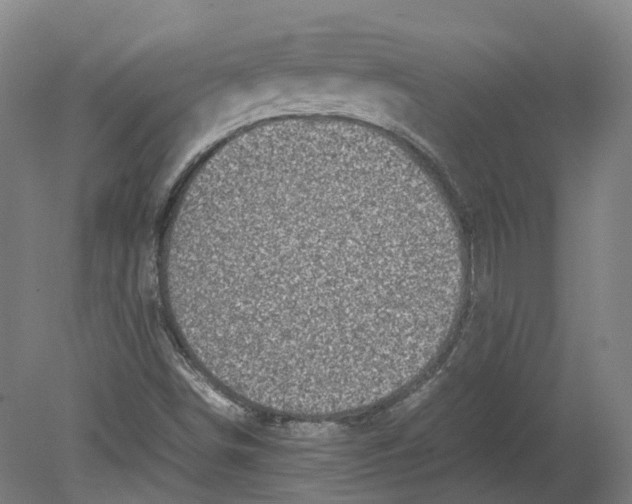 X0000080191498200612302258
