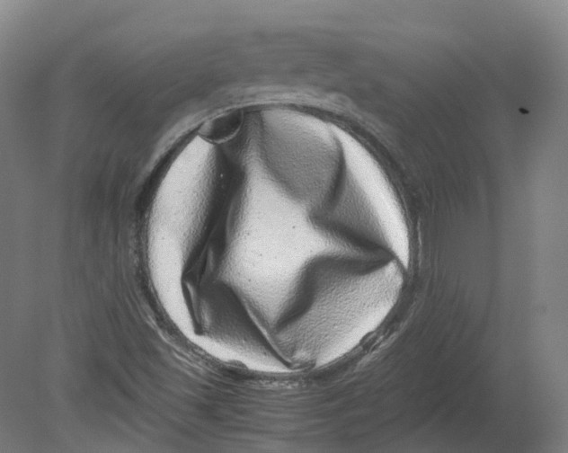 X0000080191501200612302258