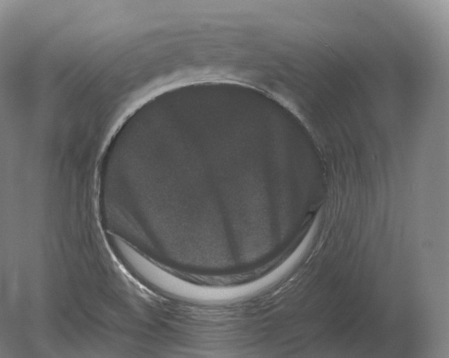 X0000080191508200612302258