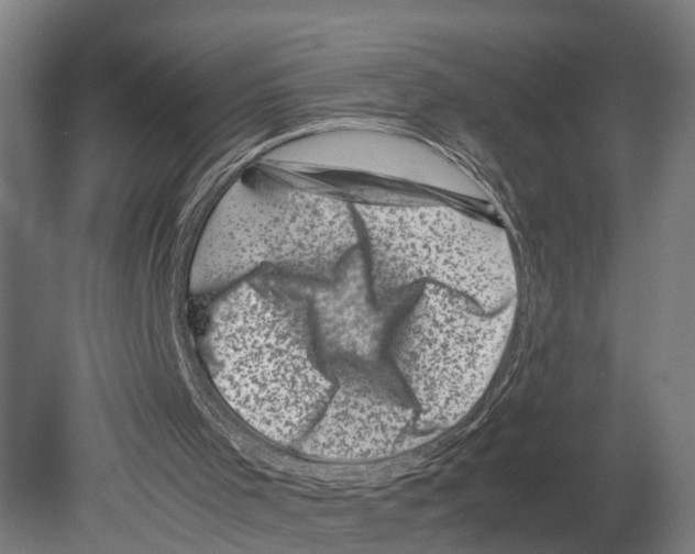 X0000080190001200701051735