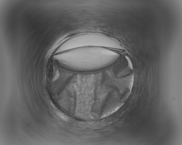 X0000080190005200701051735