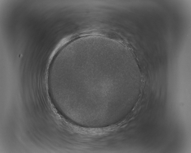 X0000080190006200701051735