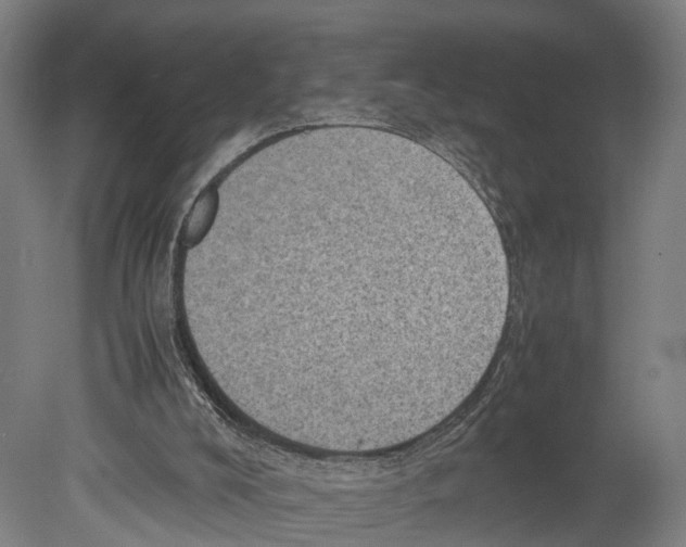 X0000080190008200701051735