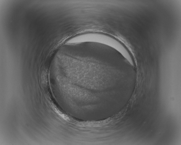 X0000080190009200701051735