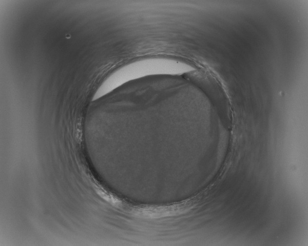 X0000080190017200701051735