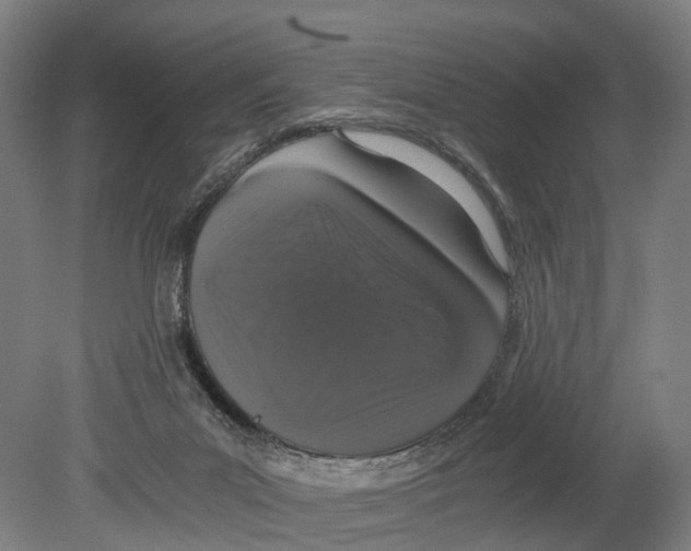 X0000080190023200701051734