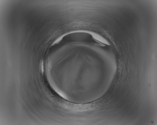 X0000080190027200701051734