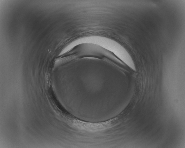 X0000080190031200701051734