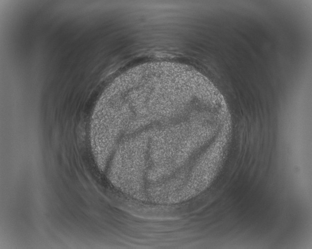 X0000080190032200701051734