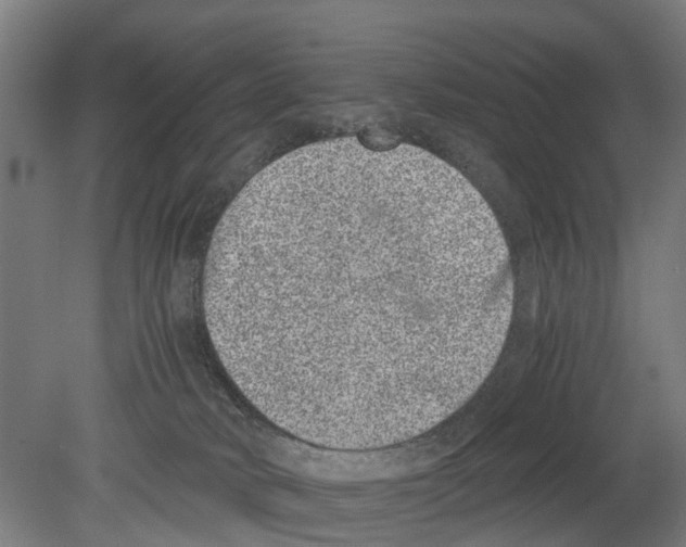 X0000080190034200701051734