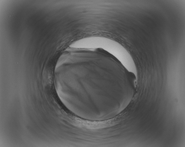 X0000080190039200701051734