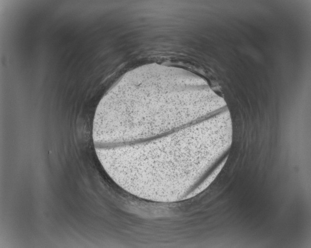 X0000080190040200701051734