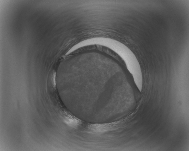 X0000080190041200701051734