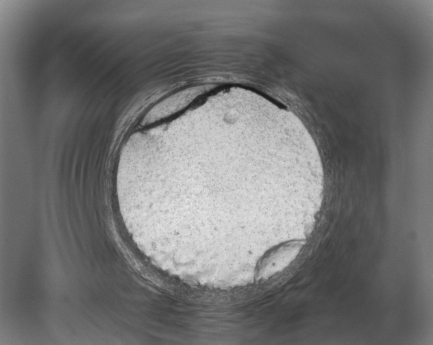 X0000080190049200701051733