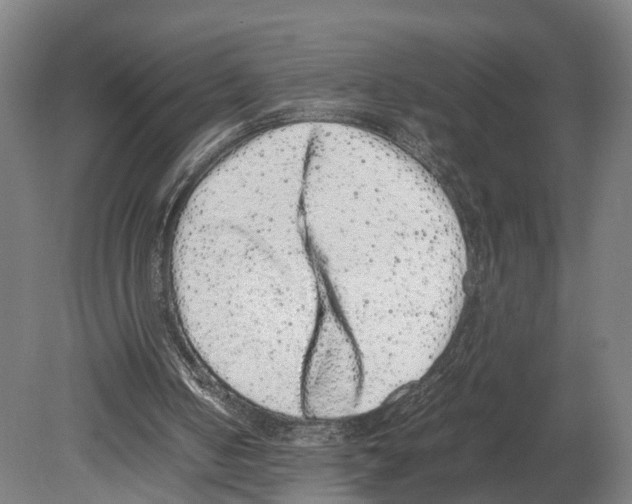 X0000080190050200701051733