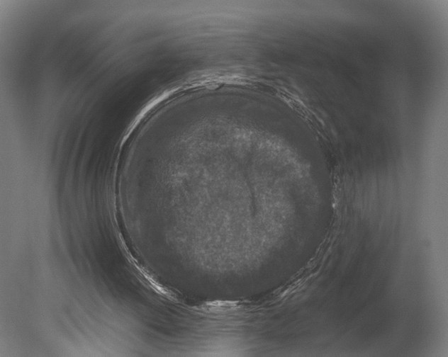 X0000080190052200701051733