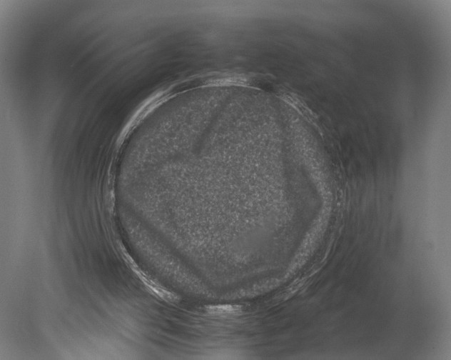 X0000080190053200701051733