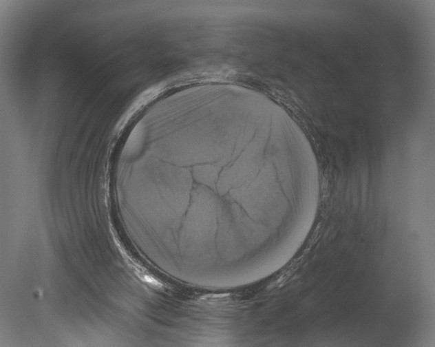 X0000080190054200701051733