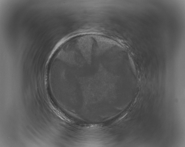 X0000080190056200701051733