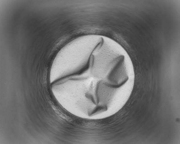 X0000080190058200701051733