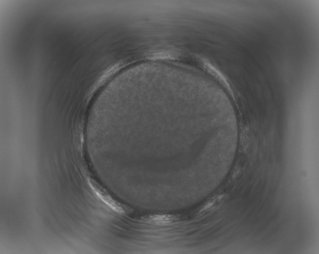 X0000080190059200701051733