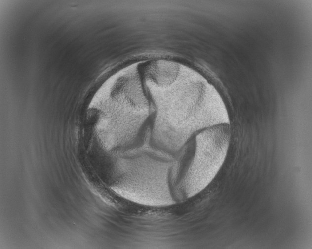 X0000080190063200701051733