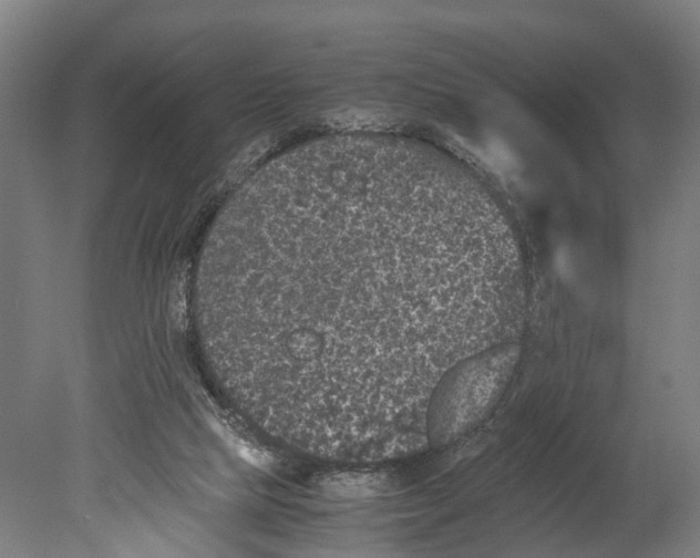 X0000080190065200701051733