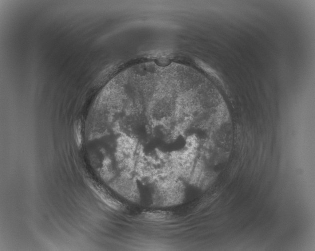 X0000080190069200701051734