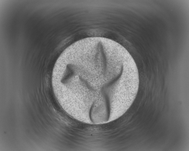 X0000080190071200701051734