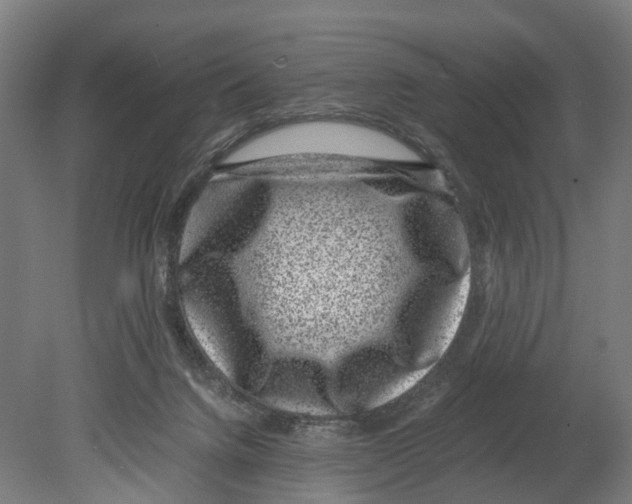 X0000080190072200701051734