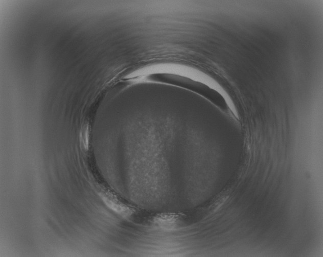 X0000080190076200701051734