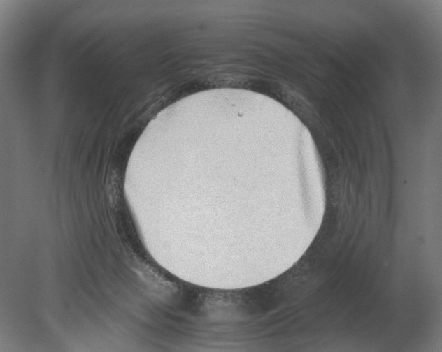 X0000080190077200701051734