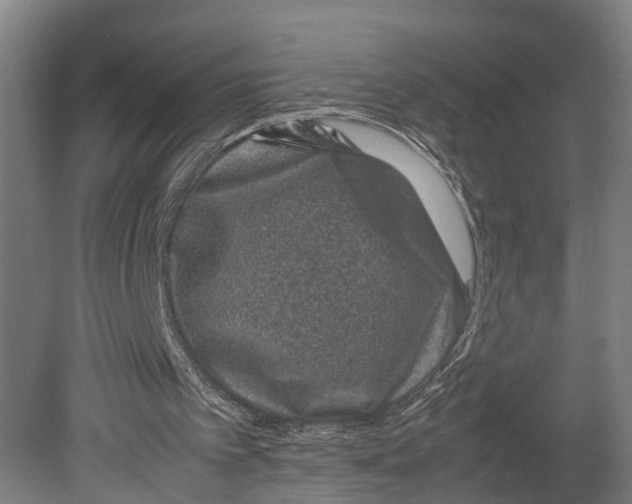 X0000080190097200701051733