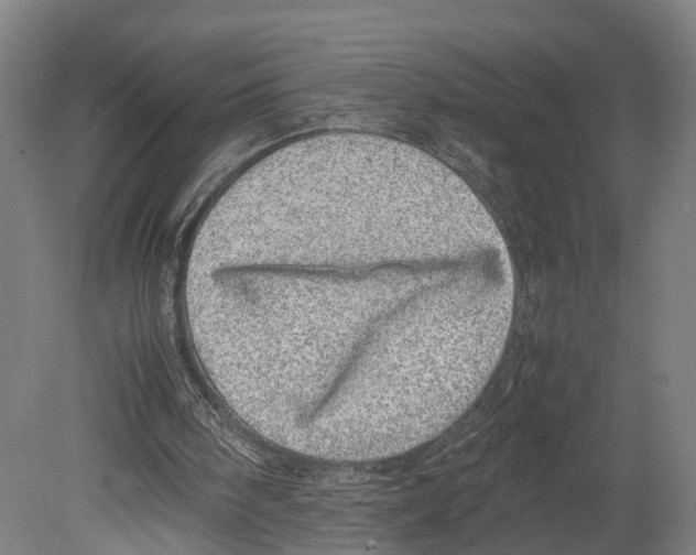 X0000080190098200701051733