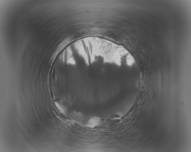 X0000080190099200701051733