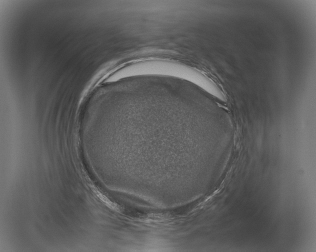 X0000080190101200701051733