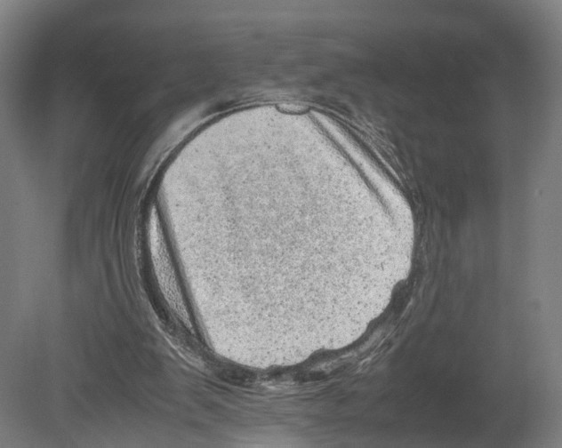 X0000080190103200701051733