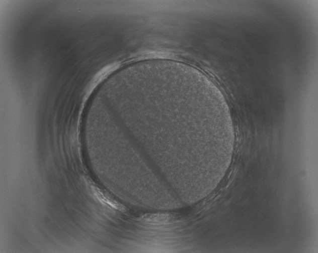 X0000080190104200701051733