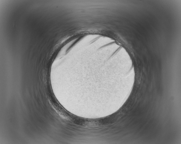 X0000080190107200701051733