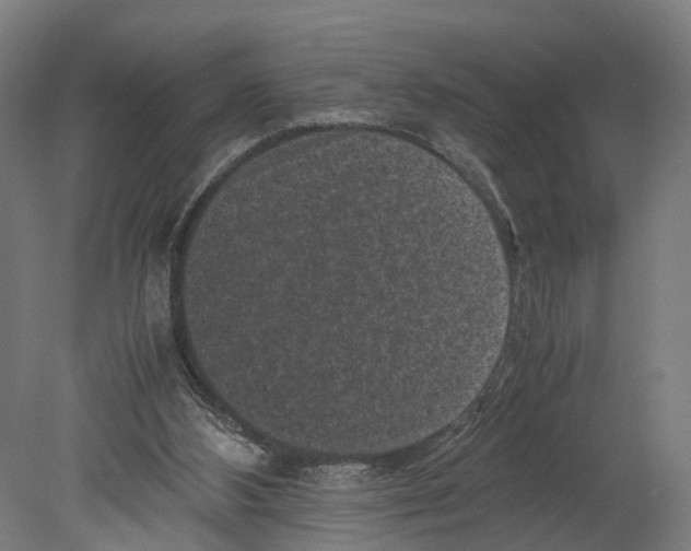 X0000080190108200701051733