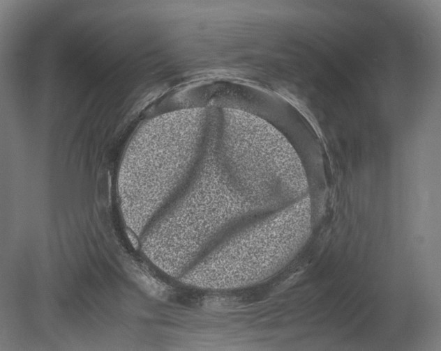 X0000080190109200701051733