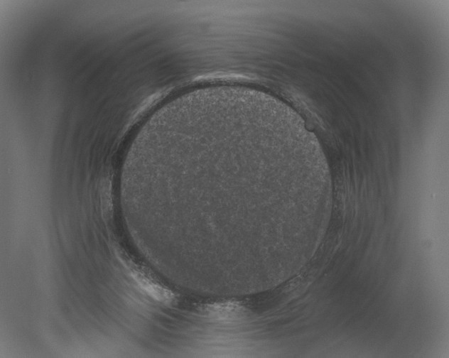 X0000080190112200701051733