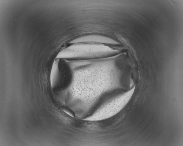 X0000080190113200701051733