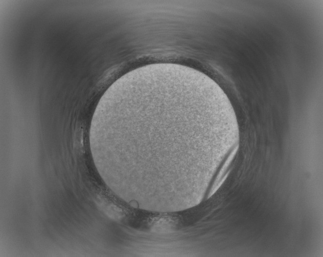 X0000080190115200701051733