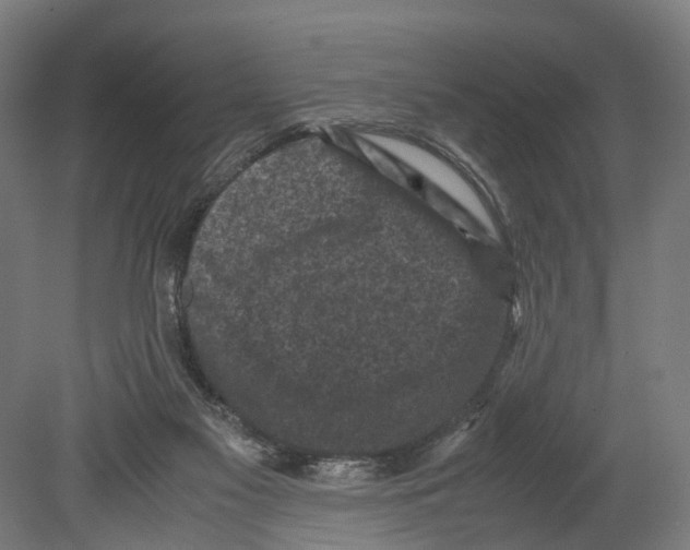 X0000080190117200701051733