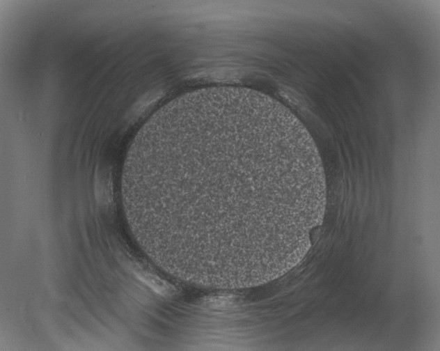 X0000080190120200701051733