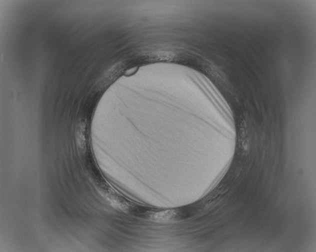 X0000080190122200701051733