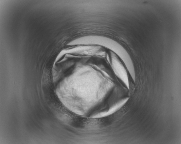 X0000080190123200701051733