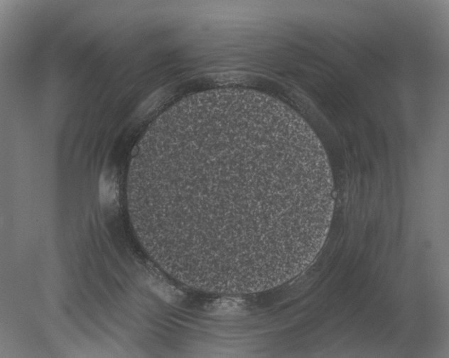 X0000080190124200701051733